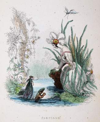 Bild Nr.3: 140-1426 Sammlung: (Grandville)