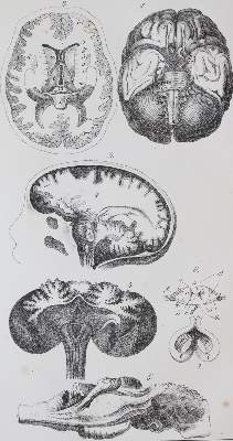 Bild Nr.3: 140-1524 Schubert,G.H.v.: (Literatur und illustrierte Bücher bis 19.Jahrhundert)