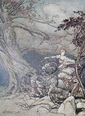 Bild Nr.3: 140-1708 Sammlung: (Rackham)