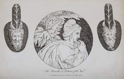 Bild Nr.5: 140-1747 (Darwin,E.).: (Botanik)