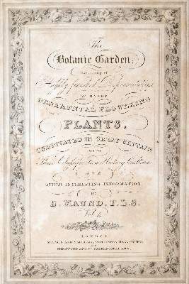 Bild Nr.2: 140-1758 Maund,B.: (Botanik)