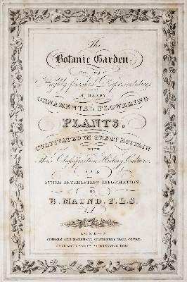 Bild Nr.2: 140-1759 Maund,B.: (Botanik)