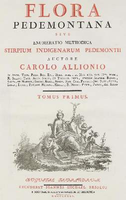 Bild Nr.4: 140-1766 Allioni,C.: (Botanik, Piemont)
