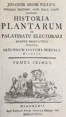 Bild Nr.2: 140-1769 Pollich,J.A.: (Botanik)