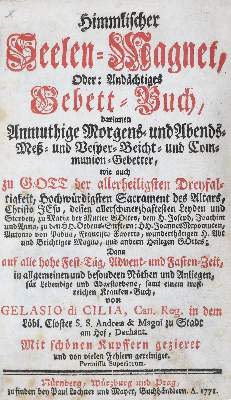 Bild Nr.6: 140-181 Bauerneinband.: (Einband)