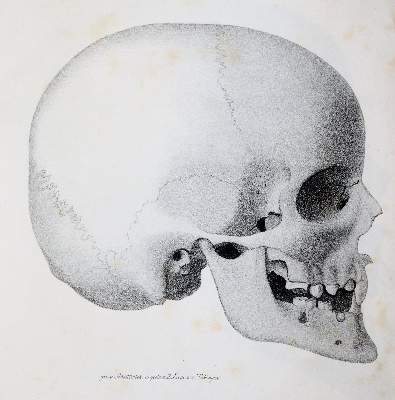 Bild Nr.2: 140-1821 Hopfengärtner,P.F.: (Medizin)
