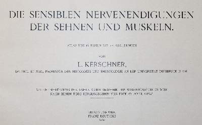 Bild Nr.1: 140-1823 Kerschner,L.: (Medizin)