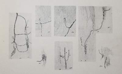 Bild Nr.2: 140-1823 Kerschner,L.: (Medizin)