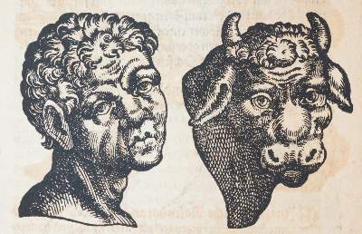 Bild Nr.3: 140-1848 Porta,G.B.della.: (Medizin)