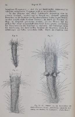 Bild Nr.2: 140-1861 Sammlung: (Medizin)