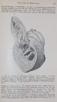Bild Nr.3: 140-1861 Sammlung: (Medizin)