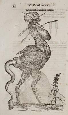 Bild Nr.2: 140-1884 Aldrovandi,U.: (Zoologie)