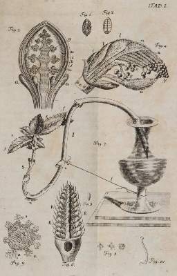 Bild Nr.3: 140-1887 Bonnet,C.: (Zoologie)