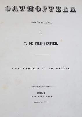 Bild Nr.1: 140-1897 Charpentier,T.v.: (Zoologie, Heuschrecken)