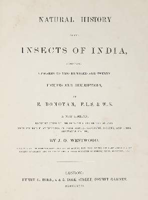 Bild Nr.3: 140-1900 Donovan,E.: (Zoologie, Insekten)