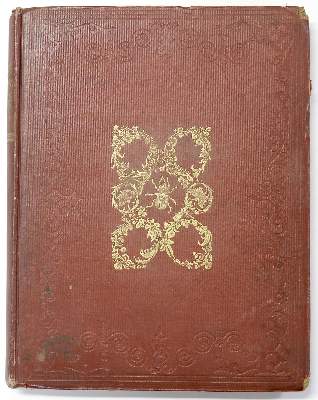 Bild Nr.4: 140-1900 Donovan,E.: (Zoologie, Insekten)
