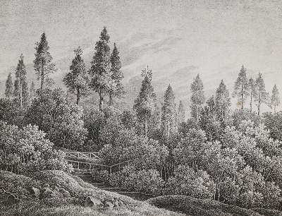 Bild Nr.1: 140-1903 Ratzeburg,J.T.C.: (Zoologie, Insekten)