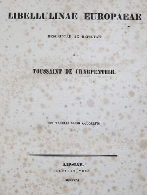 Bild Nr.1: 140-1909 Charpentier,T.v.: (Zoologie, Libellen)