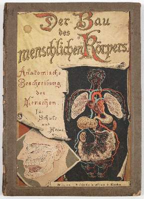 Bild Nr.3: 140-1926 Schubert,G.H.v.: (Zoologie)