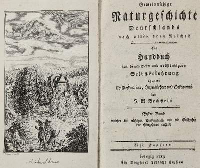 Bild Nr.1: 140-1927 Bechstein,J.M.: (Zoologie, Vögel)