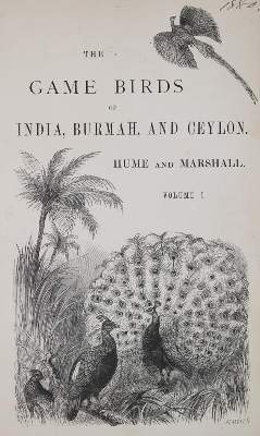 Bild Nr.1: 140-1934 Hume,A.O. u. C.H.T.Marshall.: (Zoologie, Vögel)