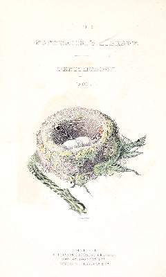 Bild Nr.5: 140-1935 Jardine,W.: (Zoologie, Vögel, Kolibris)