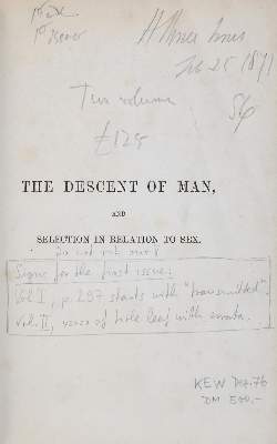 Bild Nr.3: 140-1952 Darwin,Ch.: (Verschiedene Gebiete - Varia, Anthropologie)