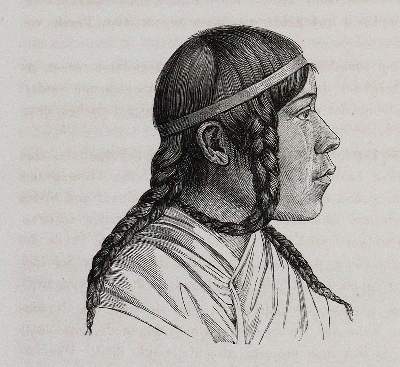 Bild Nr.2: 140-1953 Retzius,A.: (Verschiedene Gebiete - Varia, Anthropologie)