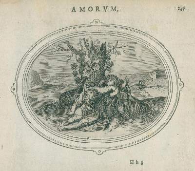 Bild Nr.3: 140-196 Vaenius,O.: (Emblemata)