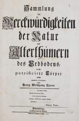 Bild Nr.1: 140-1996 Knorr,G.W.: (Verschiedene Gebiete - Varia, Geologie - Mineralogie u. Paläontologie)