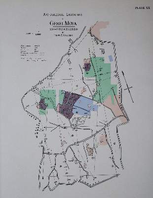 Bild Nr.1: 140-2087 Wellcome Excavations, The,: (Afrika, Archäologie)