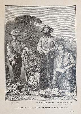 Bild Nr.2: 140-2110 Steinen,K.v.d.: (Amerika, Brasilien)