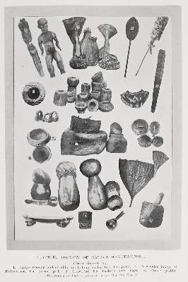 Bild Nr.1: 140-2120 Bryan,W.A.: (Amerika, Hawaii)
