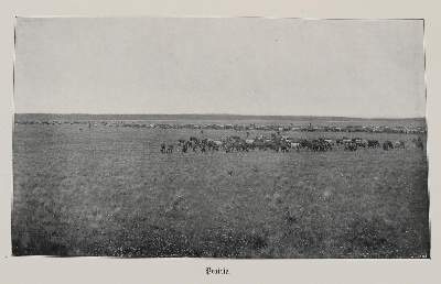 Bild Nr.3: 140-2134 Pourtales,J.v.: (Amerika)