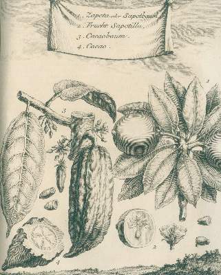 Bild Nr.4: 140-2141 (Schwabe,J.J.). Übers.: (Amerika)