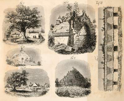 Bild Nr.6: 140-2144 Stephens,J.L.: (Amerika)