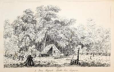 Bild Nr.5: 140-2145 Stephens,J.L.: (Amerika)
