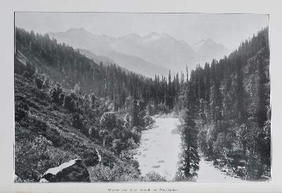Bild Nr.1: 140-2172 Doughty,M.: (Asien)
