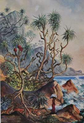 Bild Nr.1: 140-2176 Haeckel,E.: (Asien)