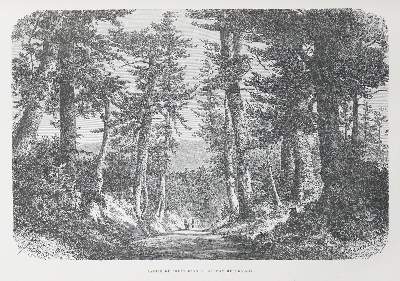 Bild Nr.3: 140-2184 Humbert,A.: (Asien, Japan)