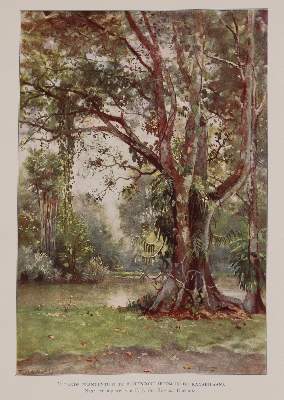 Bild Nr.2: 140-2210 Rosenberg,C.B.H.v.: (Asien)