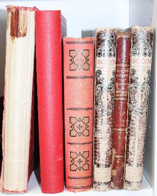 Bild Nr.6: 140-2210 Rosenberg,C.B.H.v.: (Asien)