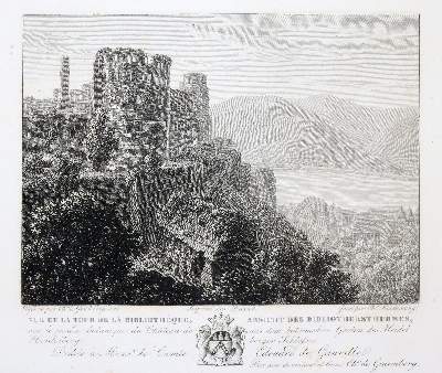 Bild Nr.5: 140-2291 Vue: (Deutschland, Heidelberg)