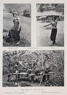 Bild Nr.2: 140-2663 Kleingrothe,J.C.: (Verschiedene Länder - Geschichte, Südsee)