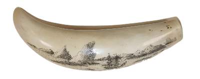 Bild Nr.1: 140-2774 Scrimshaw, gravierter: (Varia, Seewesen)