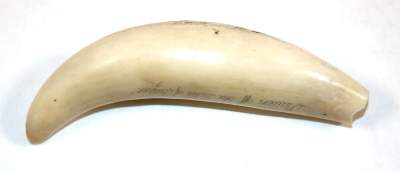 Bild Nr.2: 140-2775 Seemannsmesser: (Varia, Seewesen)