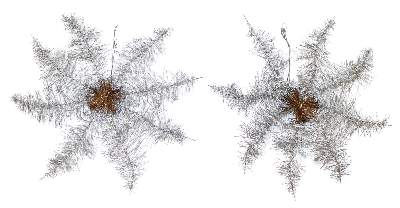 Bild Nr.1: 140-2903 Christbaumschmuck Gablonz: (Christbaumschmuck)