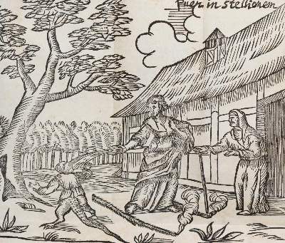 Bild Nr.3: 140-302 Hardt,H.von der.: (Alte Drucke, Handschriften und Theologie)