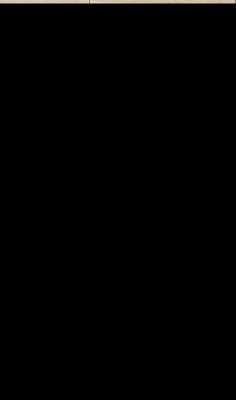 Bild Nr.7: 140-3309 Antike kaukasische: (Teppiche)
