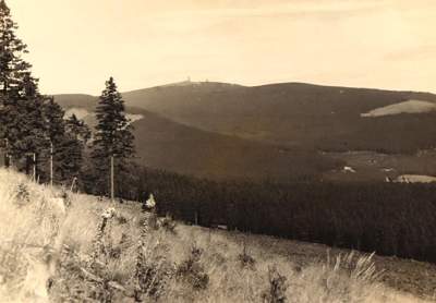 Bild Nr.2: 140-3348 Rudolphi, Hans.: (Harz)